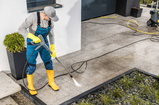 Best House Pressure Washing  in Bloomingdale, IL